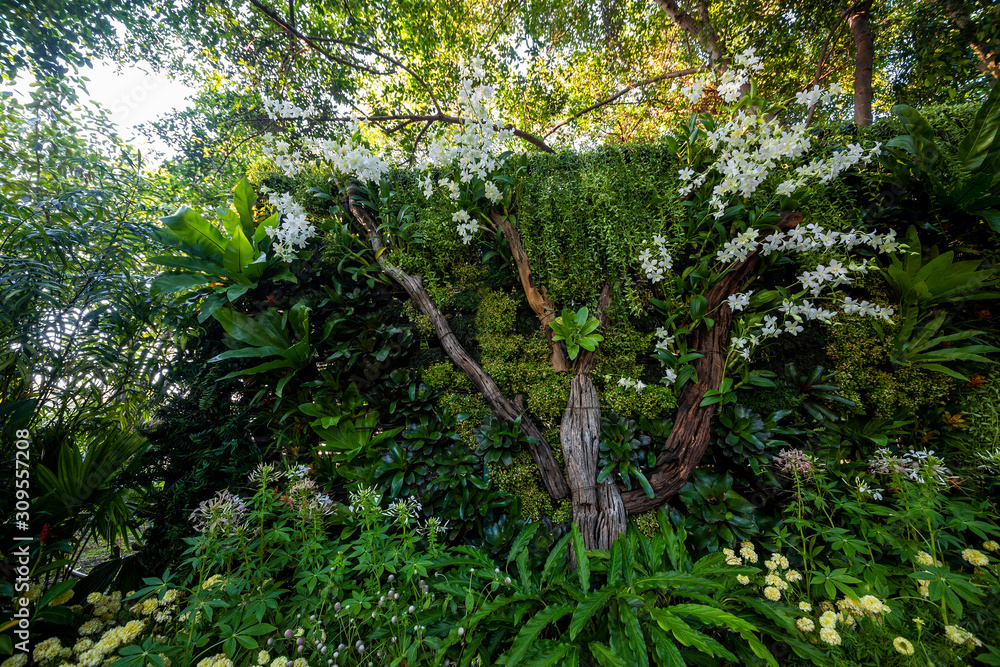 Vertical gardening harmonious with nature in the park. Vertical gardening harmonious with nature in the park.