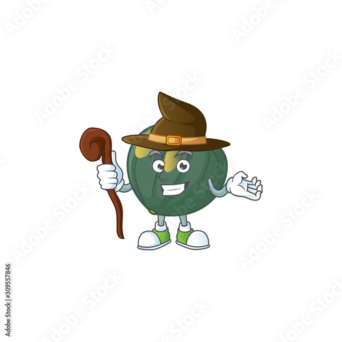 Happy Face Witch acorn squash cartoon character style