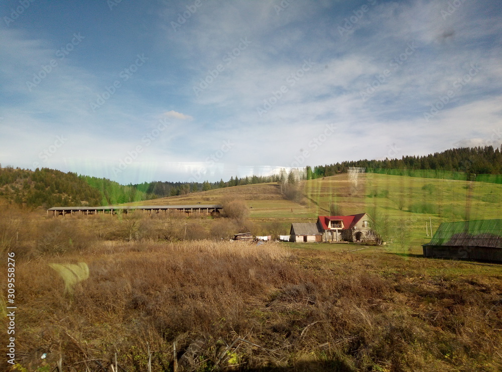 Obraz premium All-focus8787