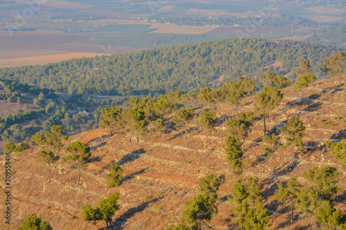 View from Giv'at Hamo're Nature Reserve. Near Afula, Israel in Western Asia.