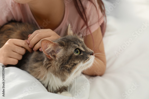 Cute little girl with cat lying on bed at home, closeup. First pet