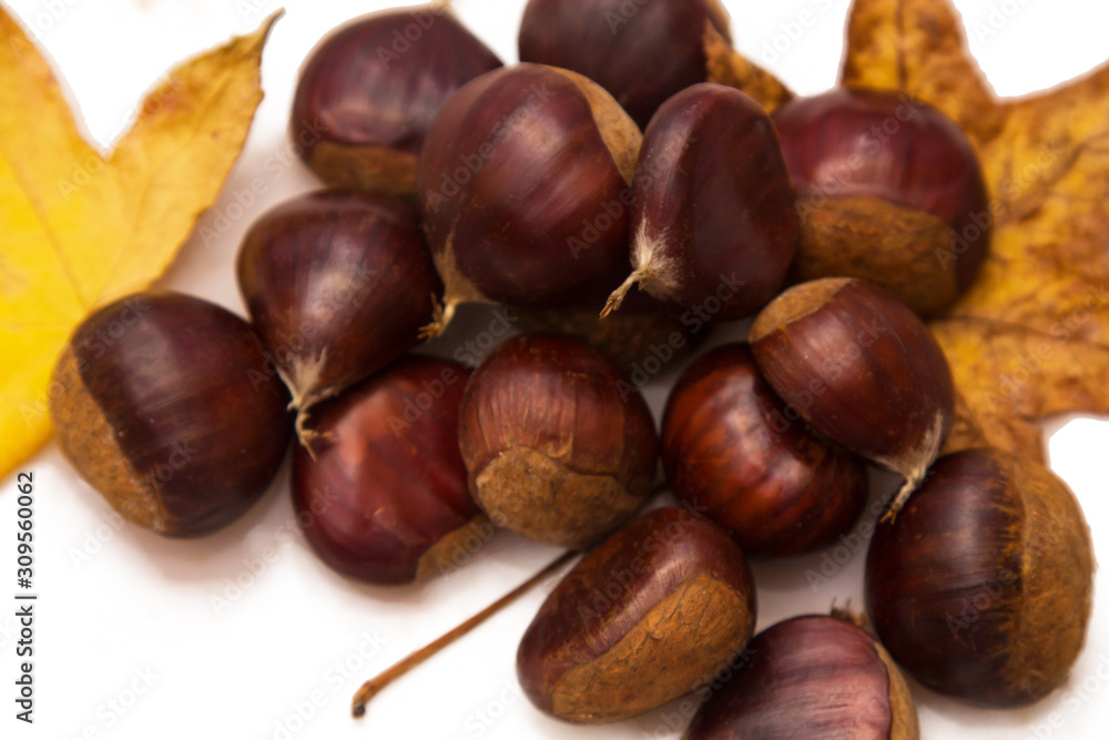 Fototapeta premium tasty group of chestnuts isolated
