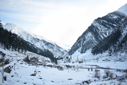 Exceptional Winter Landscape