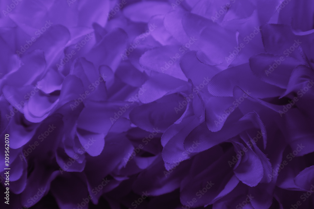 Beautiful abstract color white and purple flowers background and pink flower frame and white and pink leaves texture background Beautiful abstract color white and purple flowers background and pink flower frame and white and pink leaves texture background