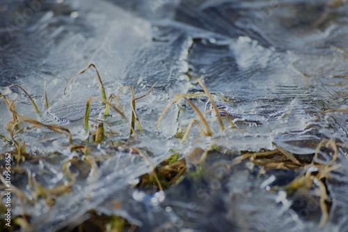 ice cover on grass close up © Erich