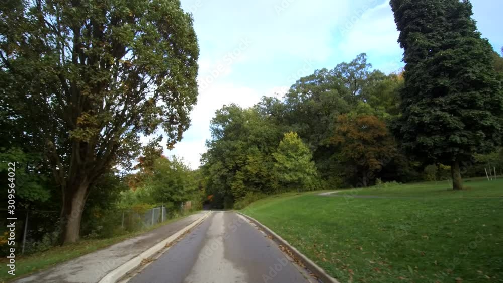 Driving Down Park Pathway With Evergreen Trees First Person View Driving Down Park Pathway With Evergreen Trees First Person View