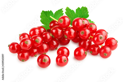 Red currant berries with leaf isolated on white background