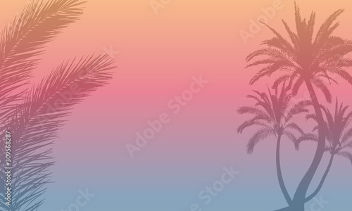 Background of silhouettes of branch and palm trees for text. Vacation, summer, discount and etc.Vector illustration. Applied clipping mask.