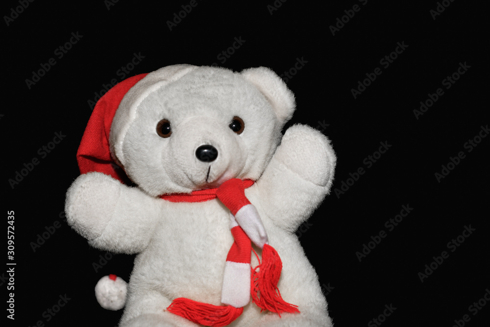 Eisbär Teddy Eisbär Teddy