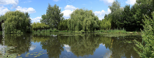 Panoramique sur un étang et sa végétation aquatique typique