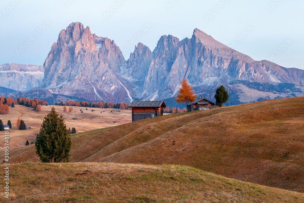 Mountain meadow and house Alpe di Siusi or Seiser Alm in the background Langkofel mountain range at sunset with Province of Bolzano, South Tyrol in Dolomites