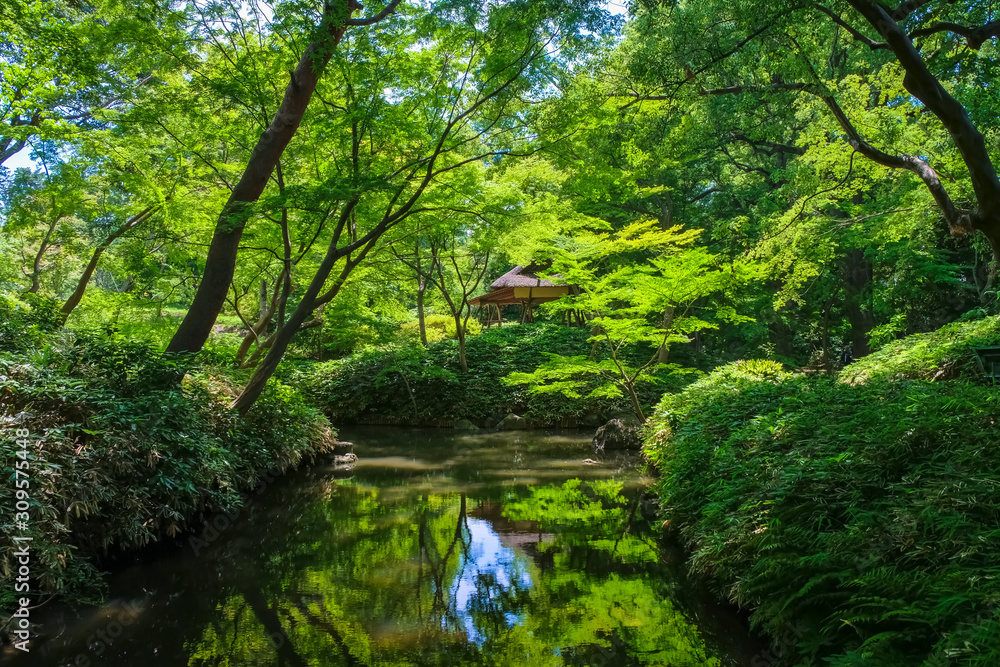 新緑の六義園 つつじ茶屋 新緑の六義園 つつじ茶屋