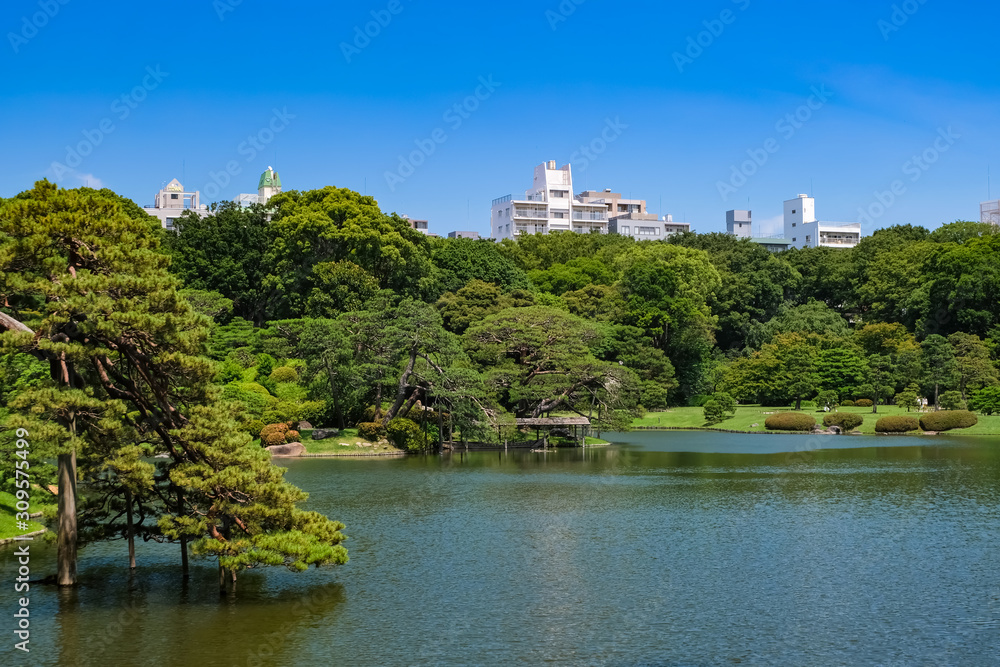 新緑の六義園