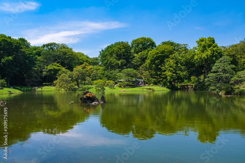 新緑の六義園