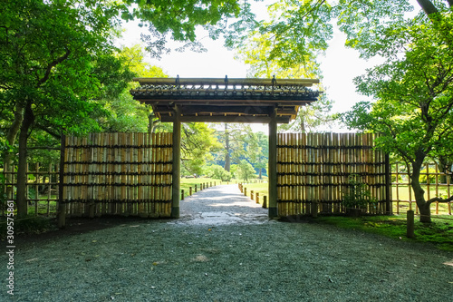 Obraz na płótnie 新緑の六義園 内庭大門