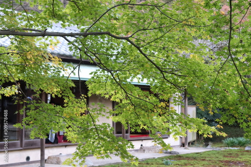 Japanese Temple