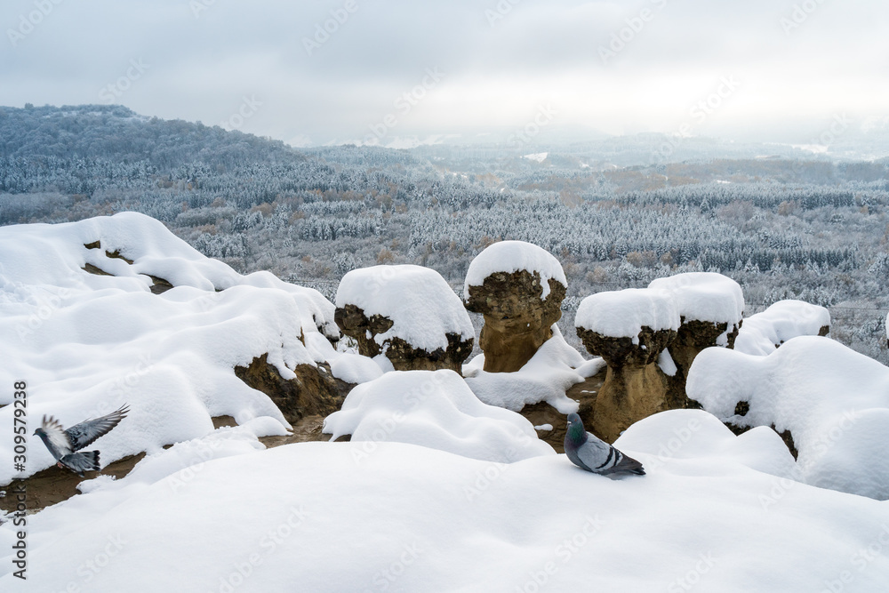 winter landscape with mountains and snow