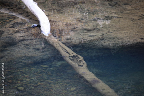 水辺の風景と流木