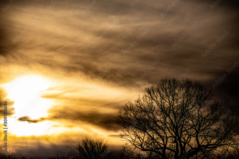 Fototapeta premium A dramatic sunset over silhouetted trees with orange, gold, and red clouds.