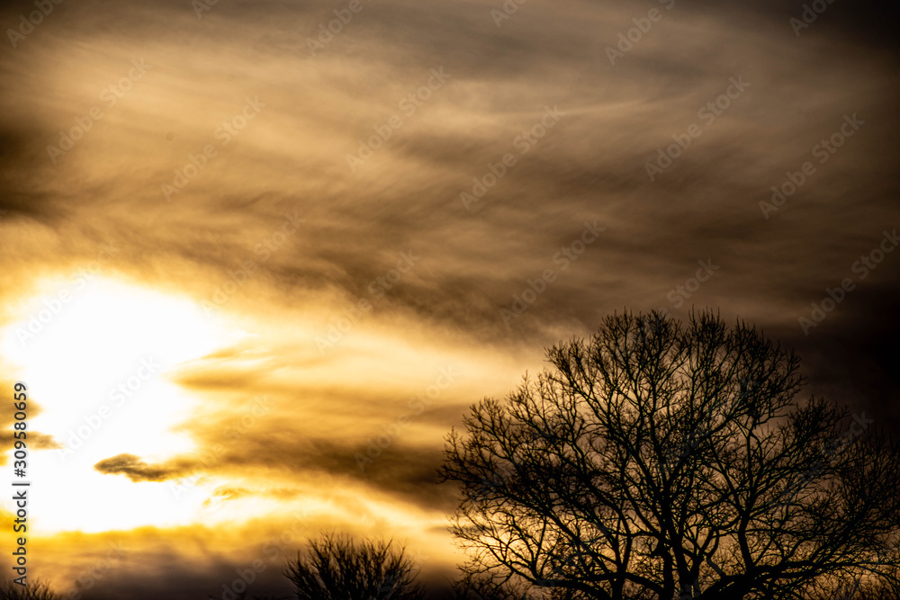 A dramatic sunset over silhouetted trees with orange, gold, and red clouds. A dramatic sunset over silhouetted trees with orange, gold, and red clouds.