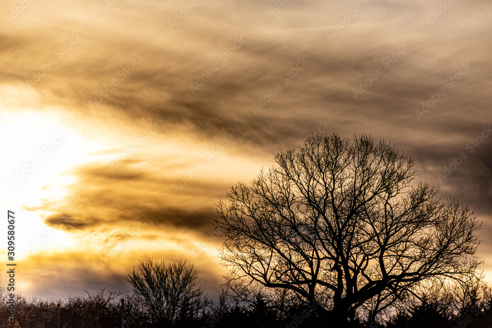 A dramatic sunset over silhouetted trees with orange, gold, and red clouds. A dramatic sunset over silhouetted trees with orange, gold, and red clouds.