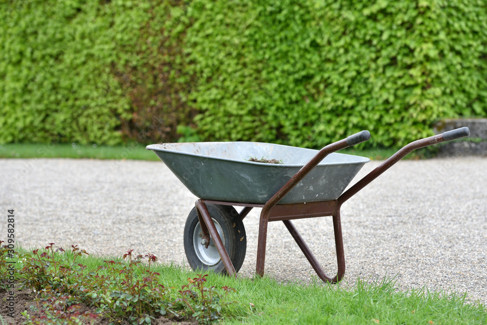 Garden trolley against a hedge with text space in a European public park Garden trolley against a hedge with text space in a European public park