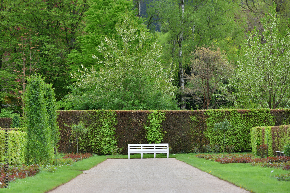 Landscape of a public park with a hedge, trees and a bench in the center, in the European city of Baden Baden
