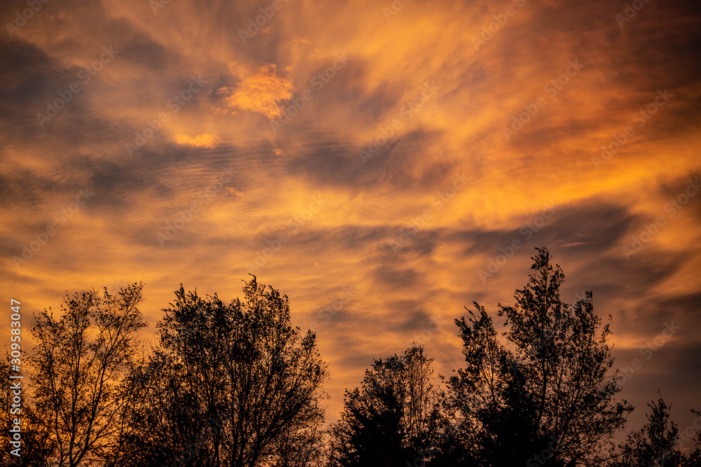Obraz premium Golden sunset over a rural landscape and countryside with trees silhouetted