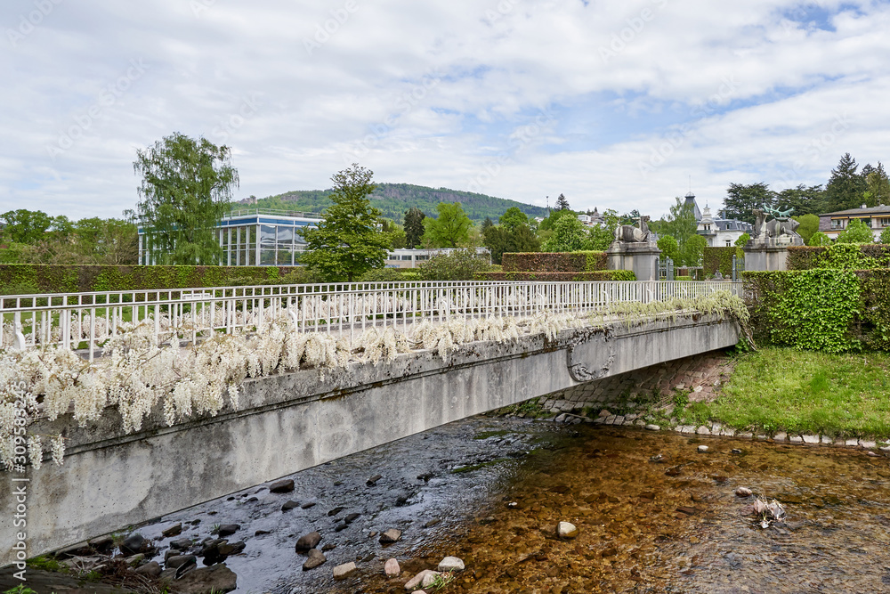 A beautiful white wrought iron bridge with wisteria flowers over a river in a public park in the European city of Baden Baden. Landscape with a bridge overlooking a green park