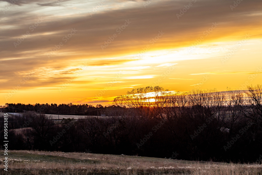 Golden sunrise over a rural countryside with trees in silhouette Golden sunrise over a rural countryside with trees in silhouette