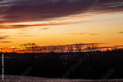 Golden sunrise over a rural countryside with trees in silhouette