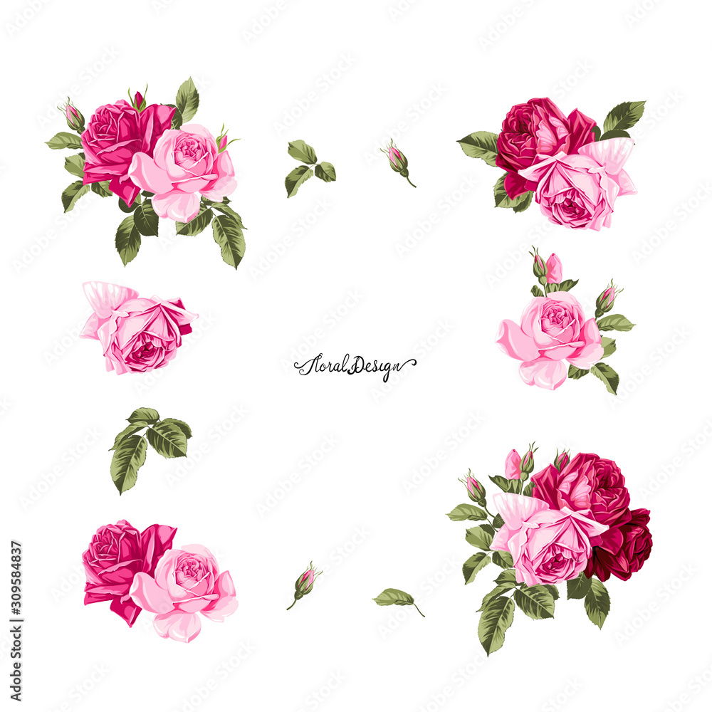Set of card with flower rose, leaves. Wedding ornament concept. Floral poster, invite.Decorative greeting card or invitation design background