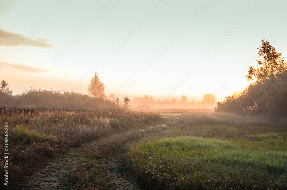 Misty daybreak in the village. Road in the field