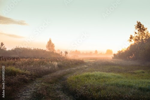 Misty daybreak in the village. Road in the field