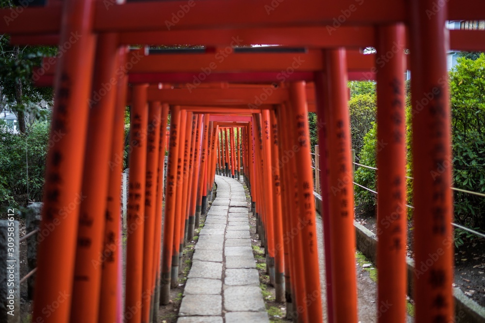 Nezu Shrine, Tokyo