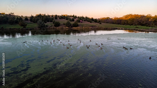 Ducks and geese sitting in a countryside pond at sunset in Nebraska