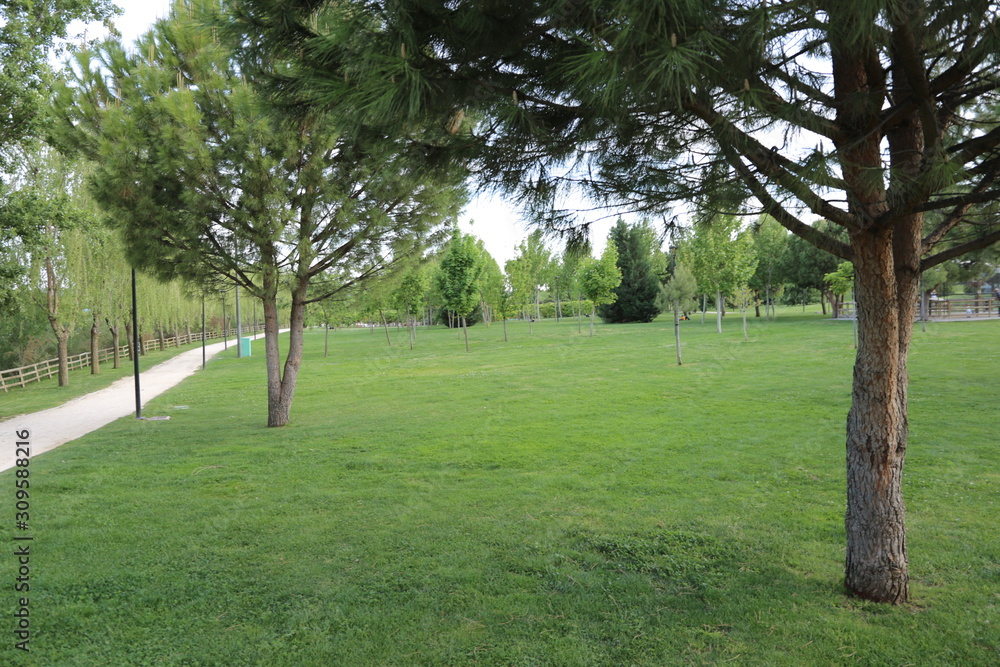 Parque Parque