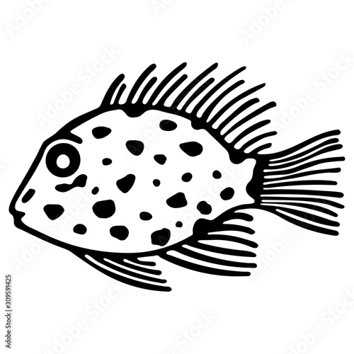 Cute marine fish isolated on white background. Monochrome lineart cartoon vector illustration. Hand drawn fish isolated sea life elements. Design used for shop aquariums, oceanariums.