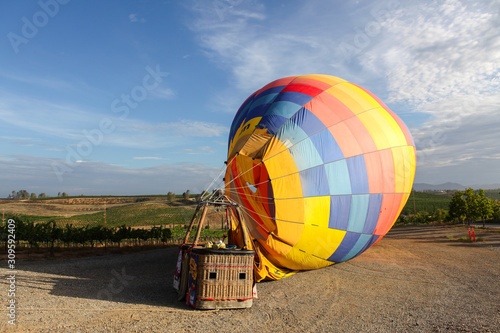 Colorful air balloon landed on the vine field
