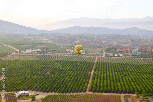 Colorful hot air balloon fly over vine yard 