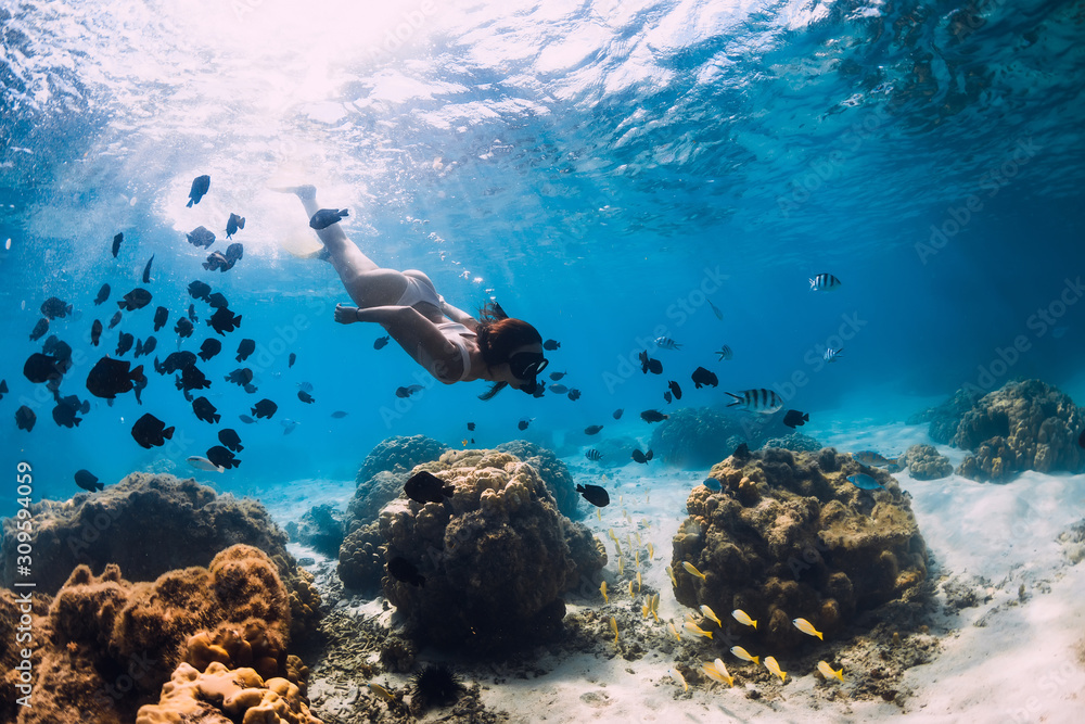 Obraz premium Free diver girl glides with school of fishes in blue sea