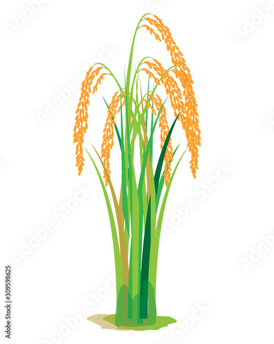 ice plant vector design