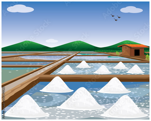 saline field vector design