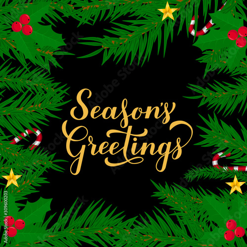 Season s Greetings calligraphy hand lettering with fir tree branches. Merry Christmas and Happy New Year typography poster. Easy to edit vector template for greeting card, banner, flyer, sticker, etc.