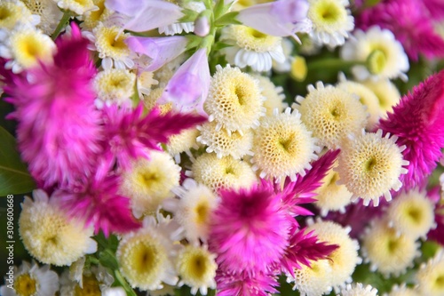beautiful bouquet of camomile and fluffy purple flowers. spring background. Bunch of wildflowers, selective focus. Romantic meadow flower. White camomiles and pink flowers. Spring time concept. 
