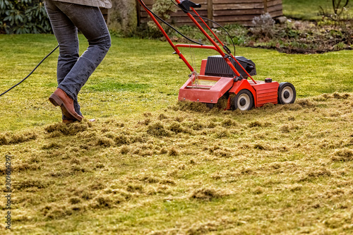 Canvas Print Dethatching the Lawn with an Electric Dethatcher