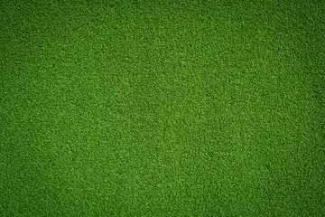 Fresh green grass background turf top view