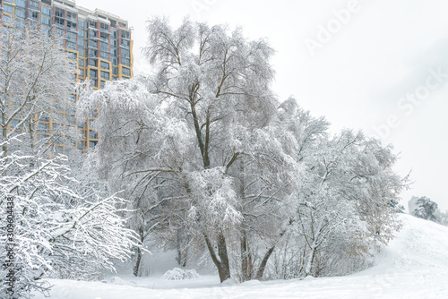 Winter landscape, Moscow, Russia. Nice snowy trees overlooking modern building. photo