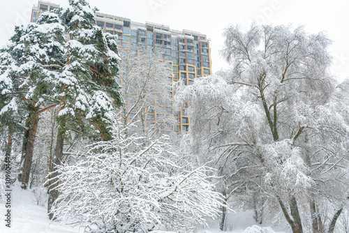 Winter landscape, Moscow, Russia. Nice snowy trees overlooking modern building. photo