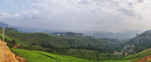 Panorama of a landscape filled with greenery (tea plantation) and cloudy sky in Munnar, Kerala, India.